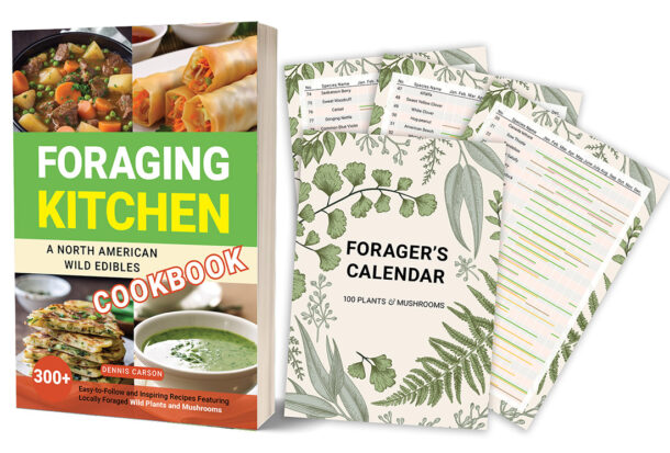 Foraging Kitchen eBook